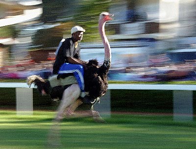 U10p6t1d180f8dt20041105082943