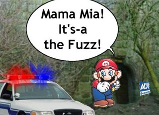 The Fuzz Mario spots an approaching cop car.