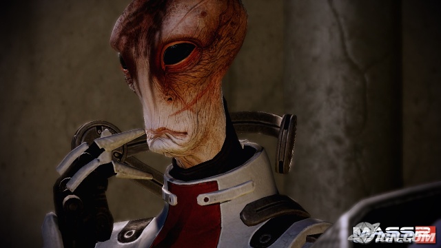 Would you risk life and limb for your crew?